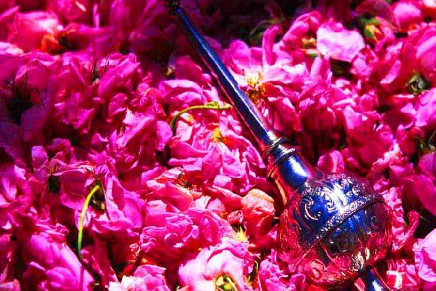 Rose Water, Qamsar